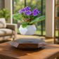 Modern Home Décor TrendyZone