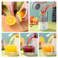 Automatic Fruit Juicer Adeeba's Collection